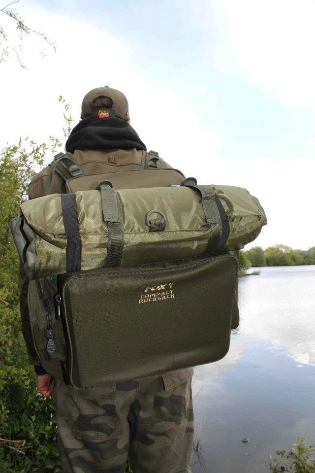 FOX - 5478563705302096712331528480328n.jpg